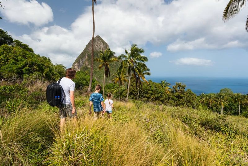 Saint Lucia's Wilderness Worries
