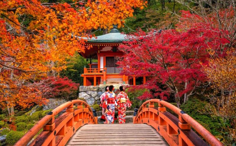 Kyoto In Fall