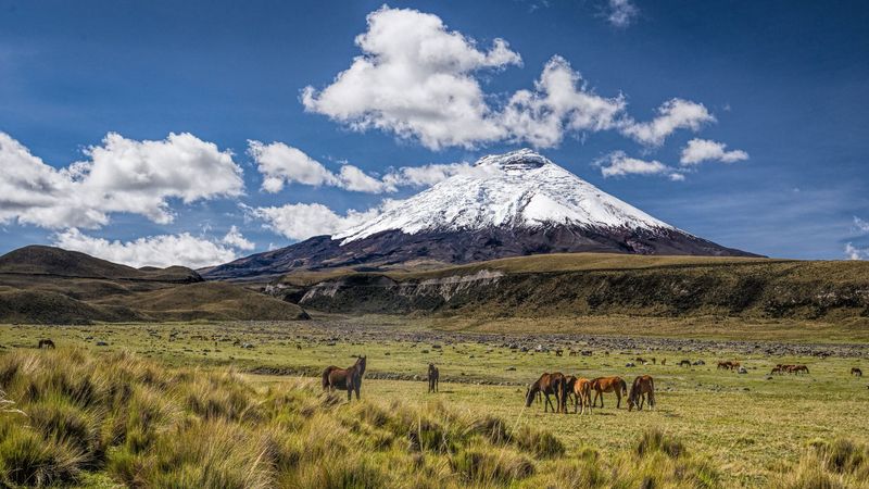 Cotopaxi National Park: Volcano Adventures