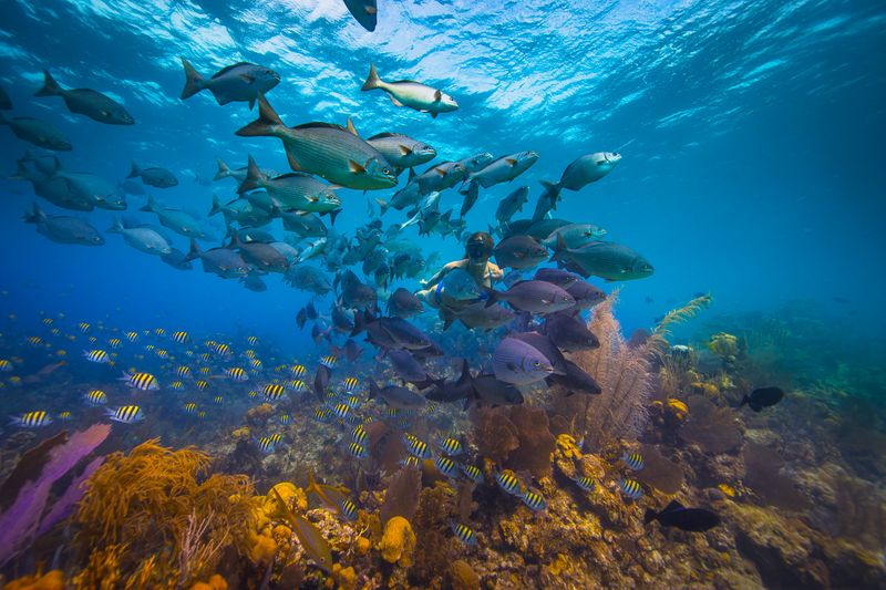 Belize Barrier Reef, Belize