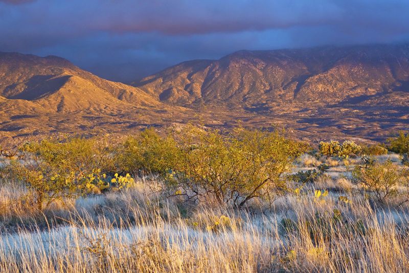 El Rancho Robles Trails