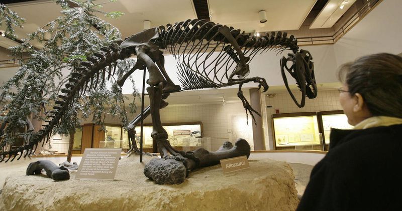 The Dinosaur Museum in Blanding