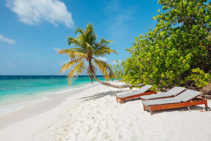 Booking Early Vs. Last-Minute Deals
