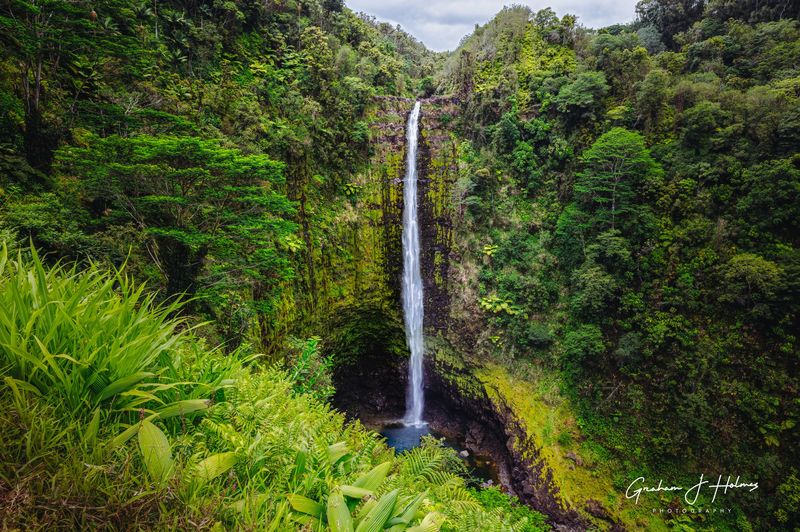 See Akaka Falls