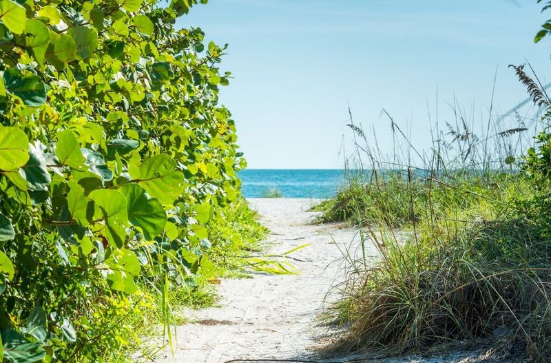 Visit Bean Point For Peace And Seclusion