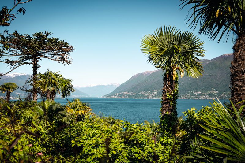 Ticino's Palm Tree Paradise