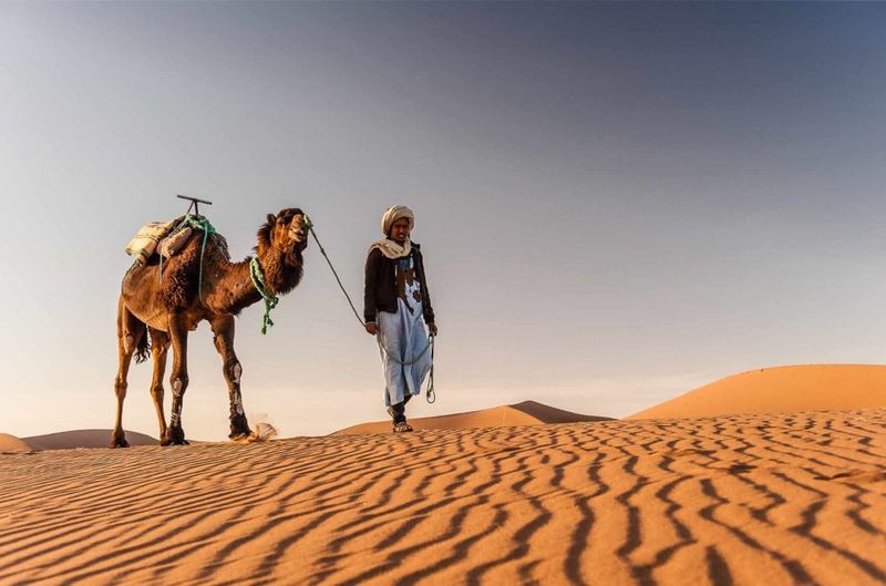 Camel Ride in the Sahara
