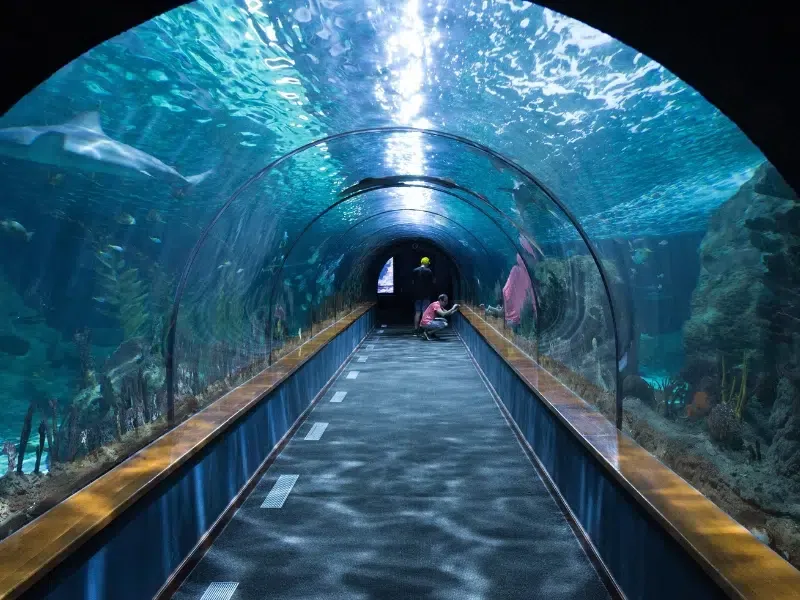 Audubon Aquarium - New Orleans