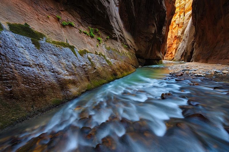 The Narrows: Zion's Otherworldly Water Corridor