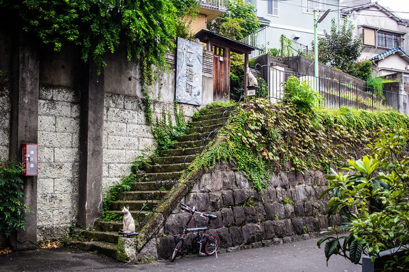 Tokyo's Yanaka District