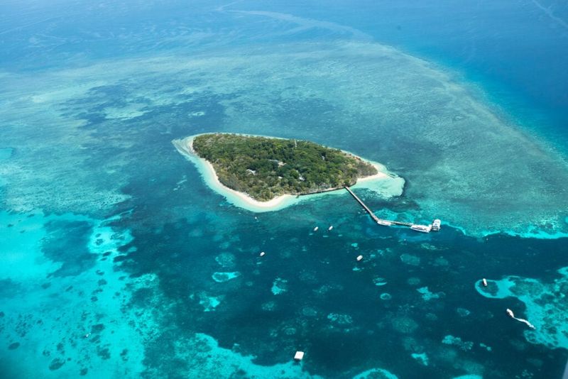 SKIP: Green Island, Great Barrier Reef: Tourist Trap