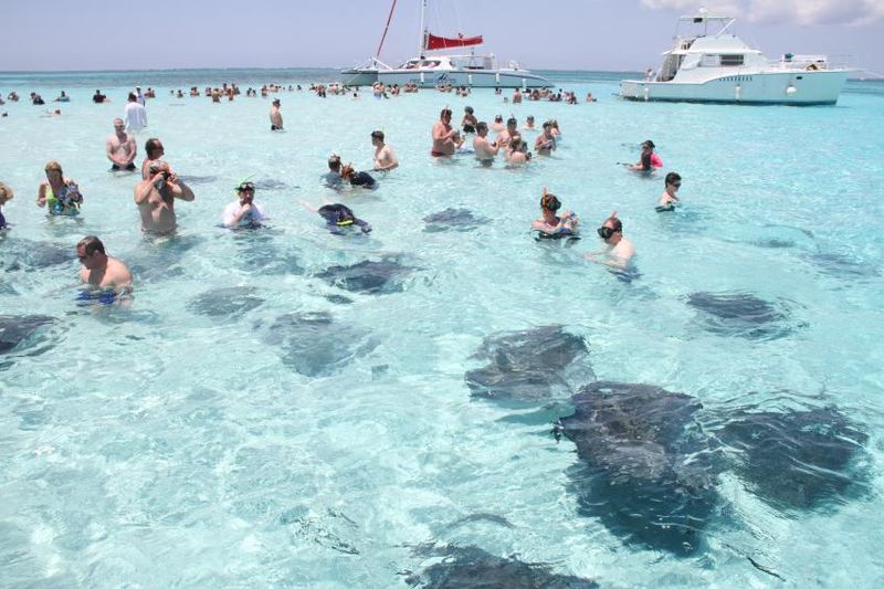 SKIP: Stingray City, Grand Cayman: Unnatural Encounters