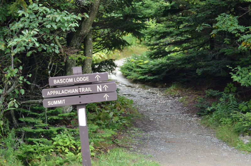 Nearby Attractions Worth Visiting
