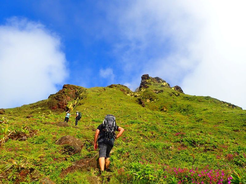 Hike La Soufrière Volcano