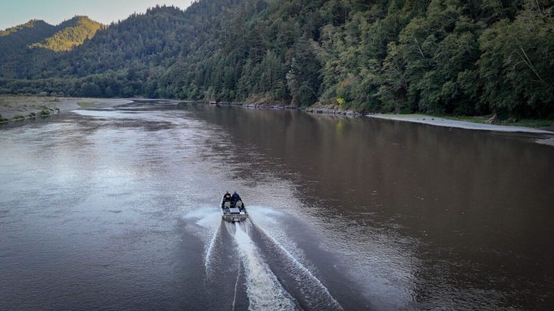 Klamath River, California: Salmon Diversity Hotspot