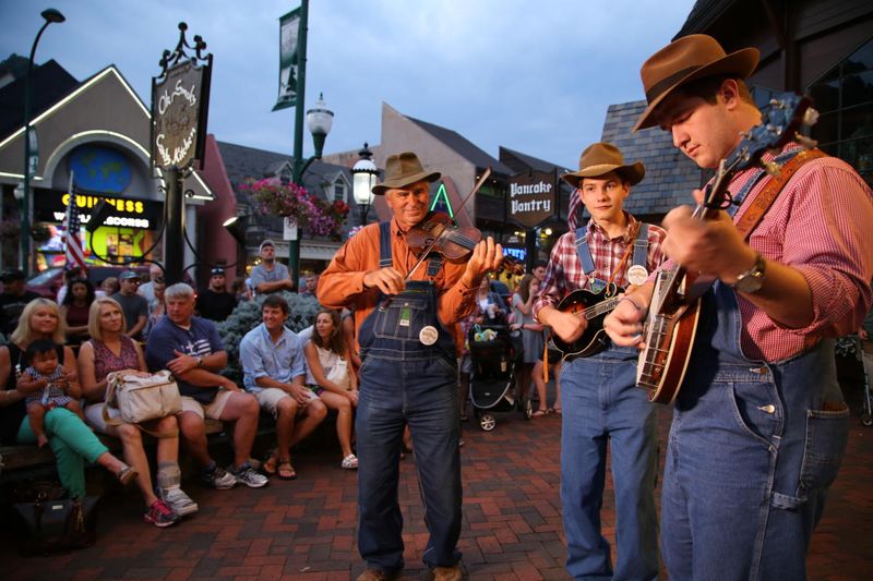 Tap Your Feet to Live Bluegrass