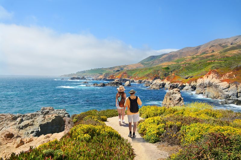 Big Sur's Coastal Majesty