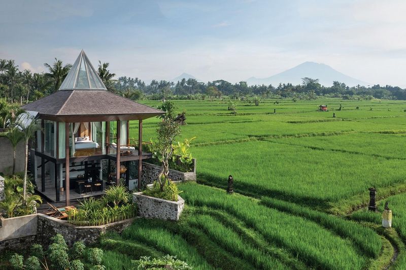 Bali's Spiritual Retreats
