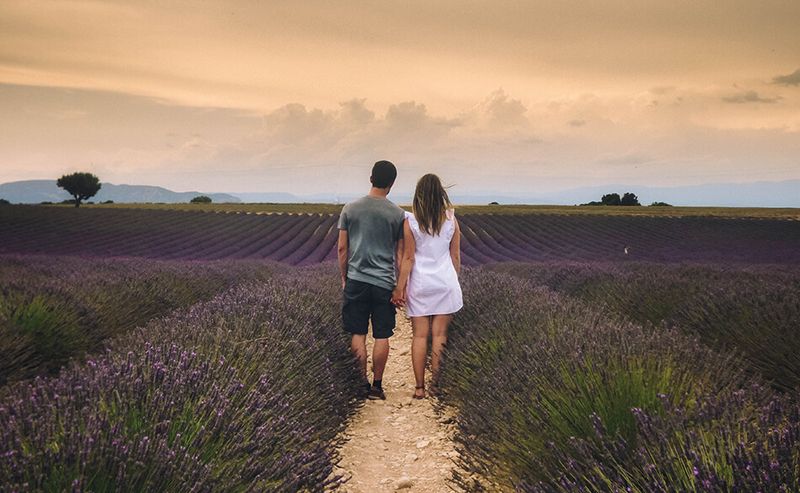 Provence's Lavender Fields Whispered Sweet Nothings to Us