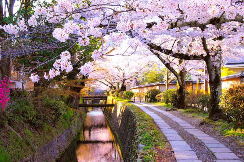 Kyoto, Japan