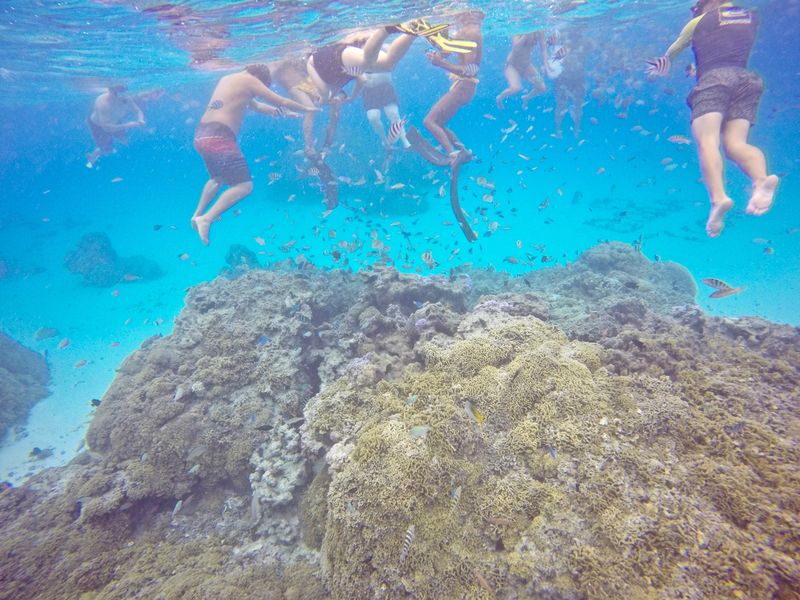 Bora Bora: Overpriced Snorkeling in a Damaged Ecosystem
