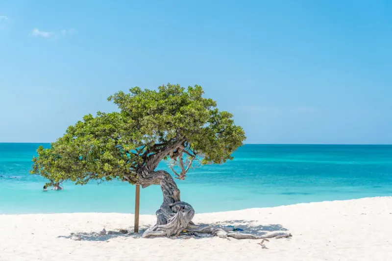 Aruba - Caribbean Gem