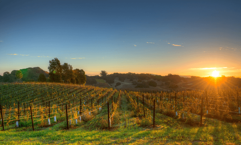 Napa Valley, California, USA