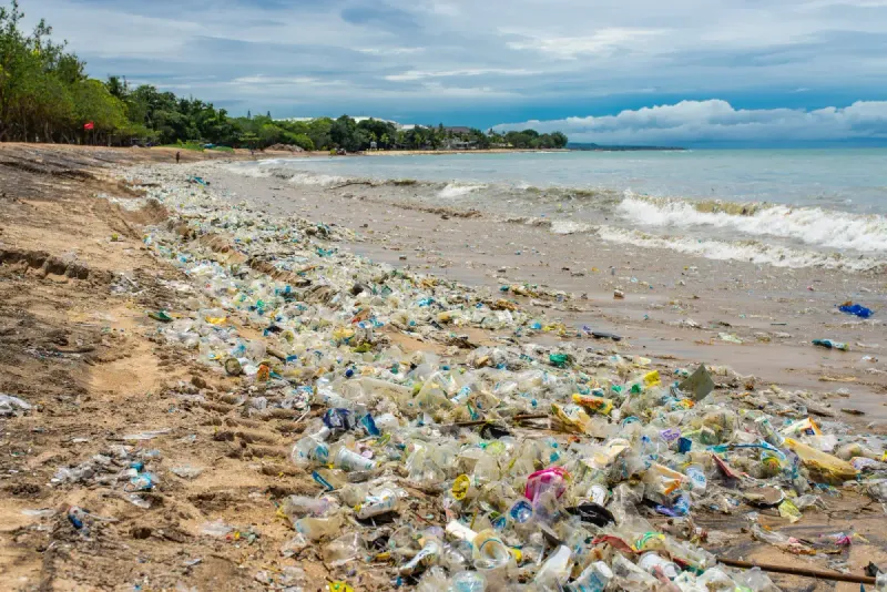 Bali: Paradise Lost to Tourism