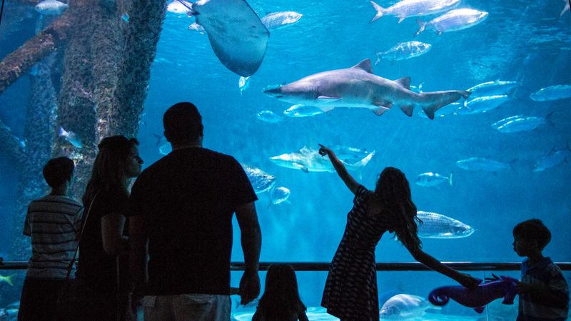 Audubon Aquarium, New Orleans, LA