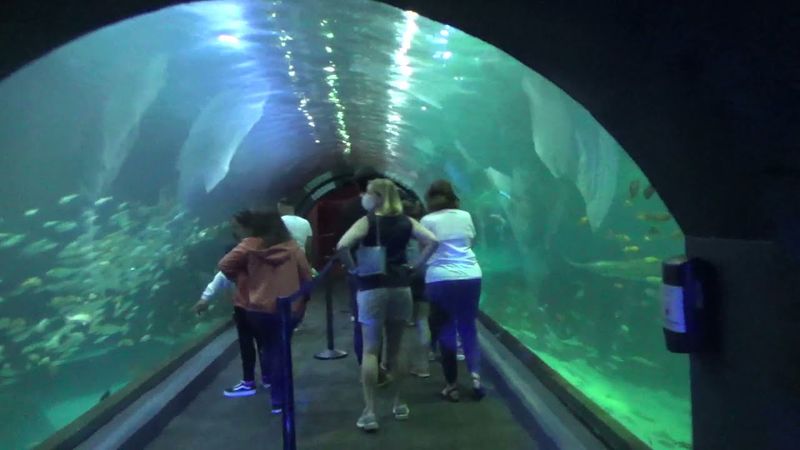 Adventure Aquarium - Camden