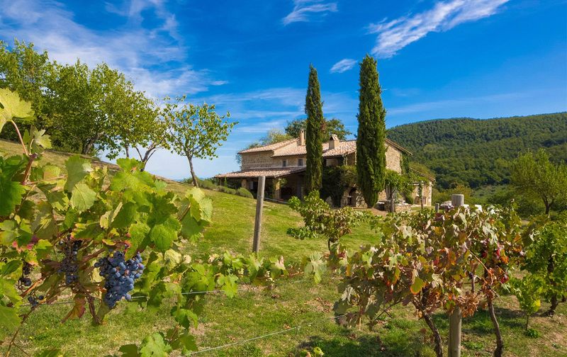 Tuscany's Rolling Vineyard Hideaway