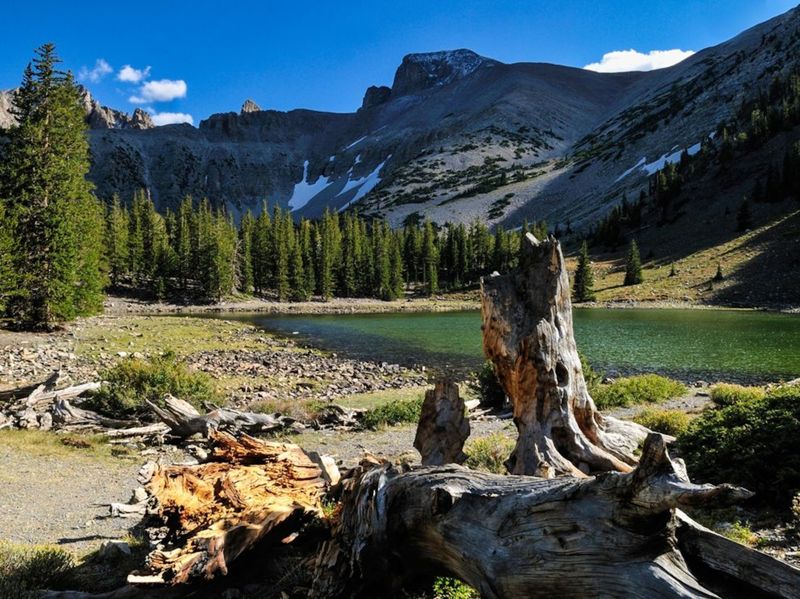 Great Basin National Park, Nevada