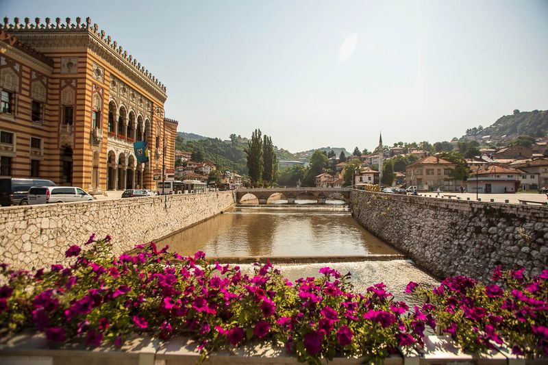 Sarajevo's Phoenix Spirit