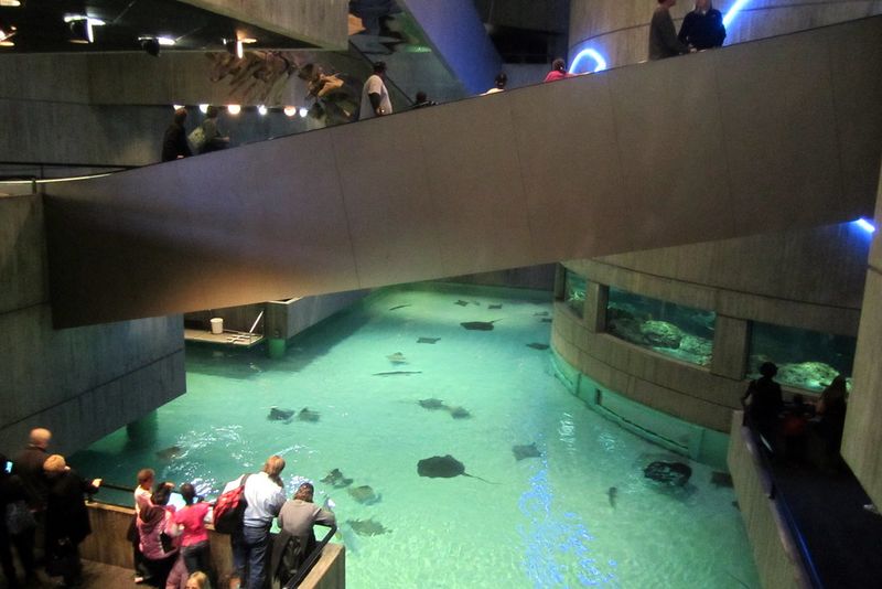 National Aquarium - Baltimore