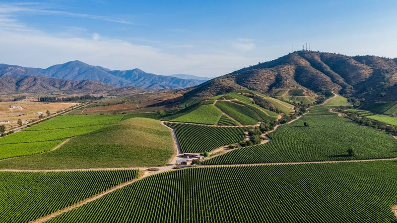 Chile's Casablanca Valley
