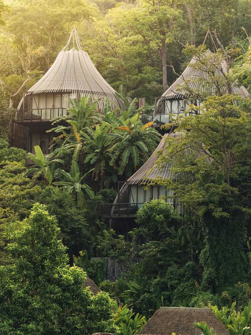 Jungle Tree Lodge