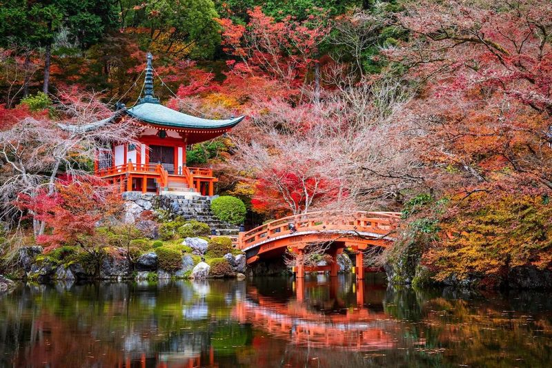 Japan's Kyoto Gardens