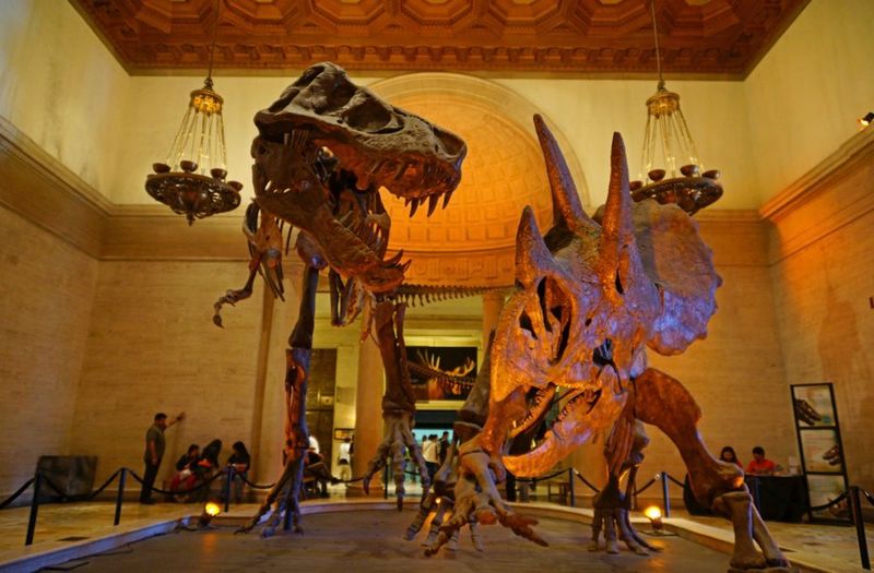 La Brea Tar Pits And Museum – Los Angeles, California