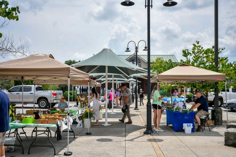Stroll Through State Street Farmers' Market