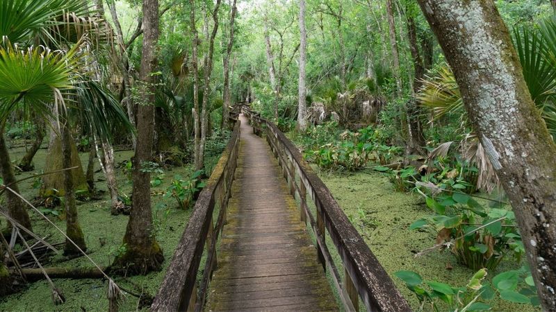 Enjoy Outdoor Activities At Nearby Parks