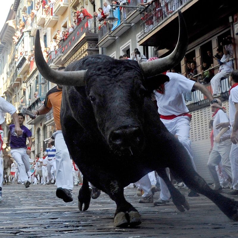 Participating in Running of the Bulls in Spain