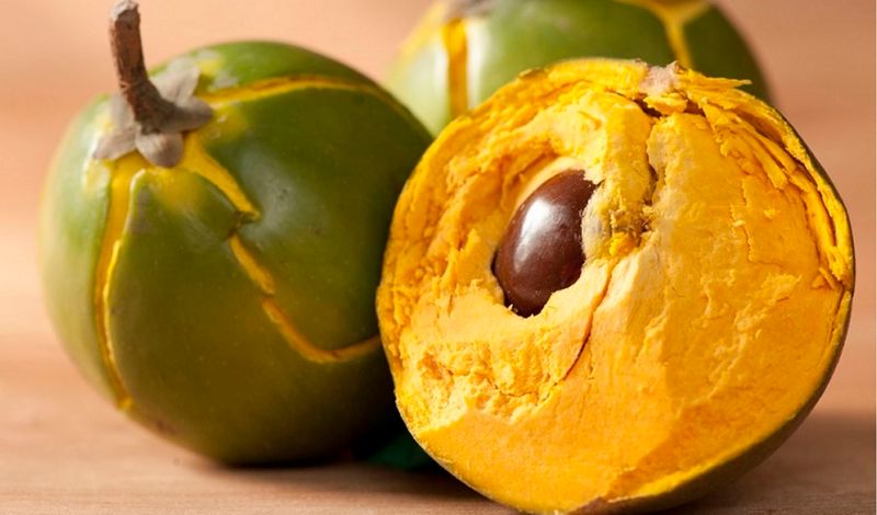 Lucuma – Peru’s Golden Fruit