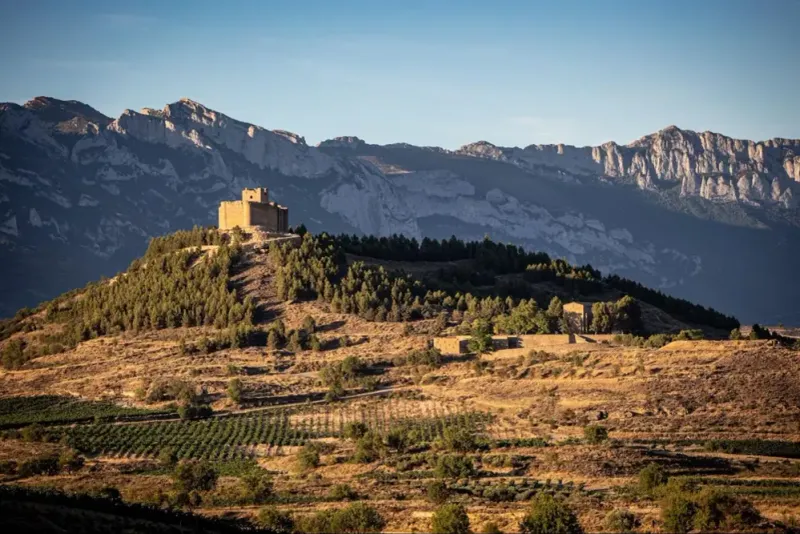 Spain's Rioja