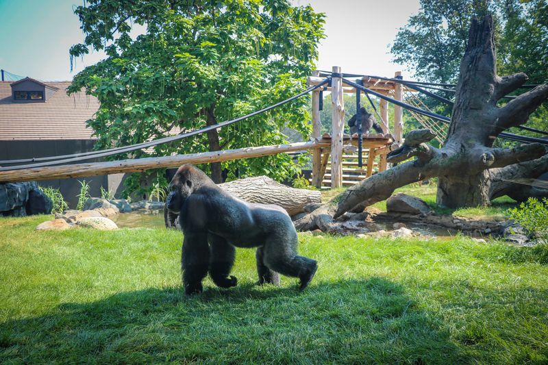 Nebraska – Henry Doorly Zoo (Omaha)