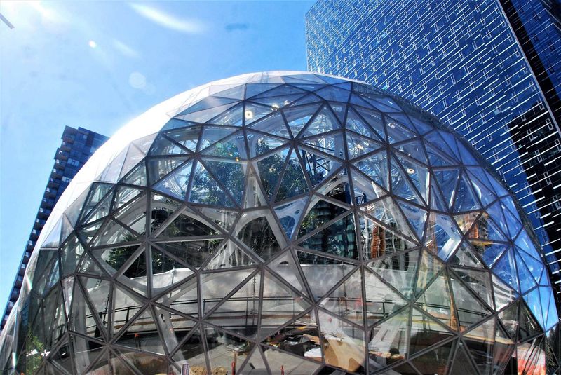 Amazon Spheres Public Access Limitations