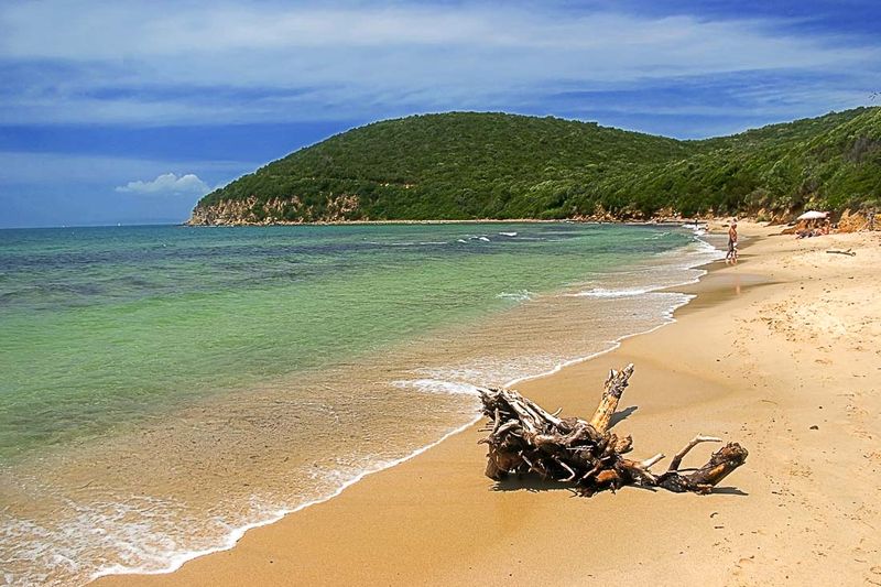 Cala Violina: The Musical Shore