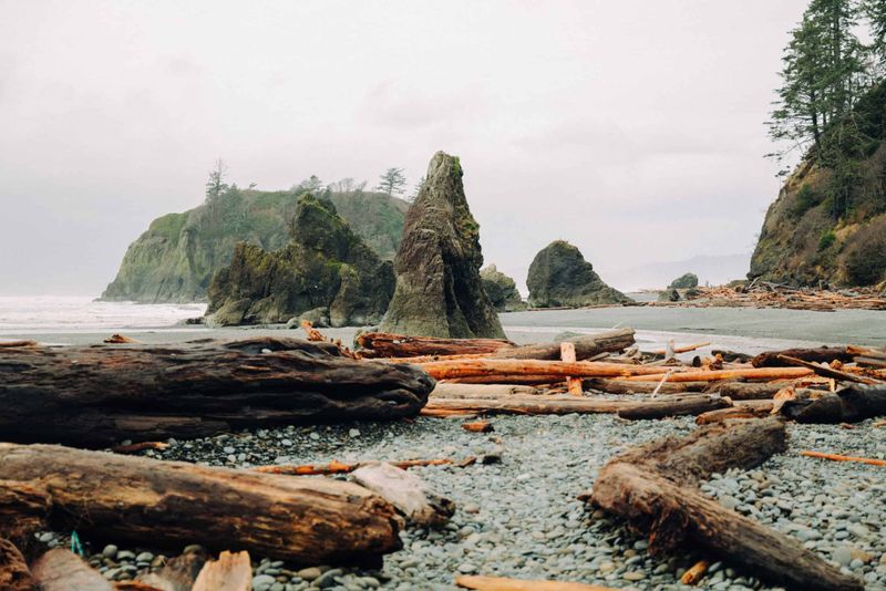 Explore the Tides at Ruby Beach