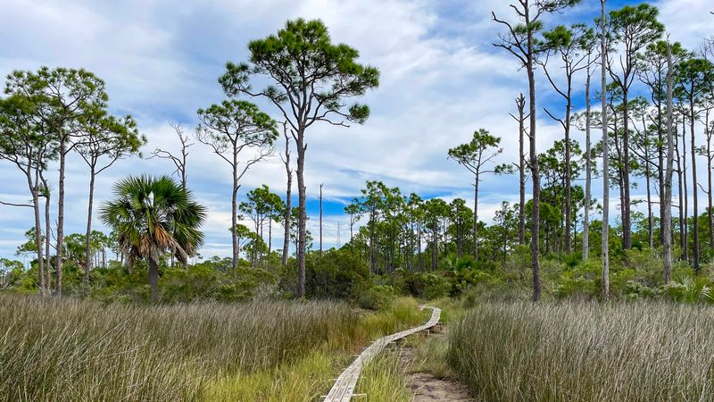 Apalachicola National Estuarine Research Reserve