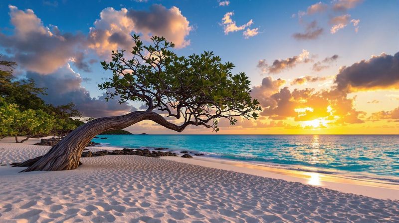 Aruba: Desert Island Magic