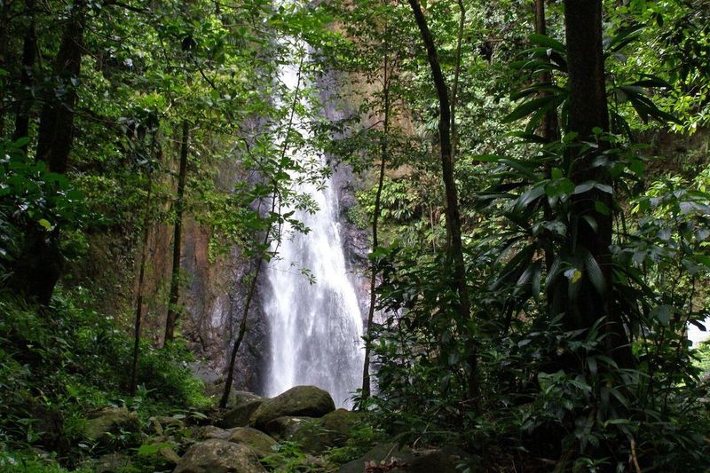 Dominica - The Nature Island's Hidden Gems